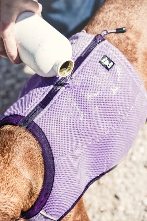 Il gilet di raffreddamento Hurtta