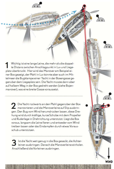 Cliquez sur l'image pour l'agrandir