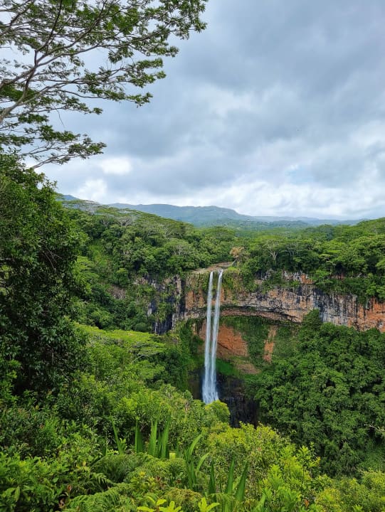 Willkommen im Jurassic Park der Realität – die Chamarel Wasserfälle sind absolut filmreif.