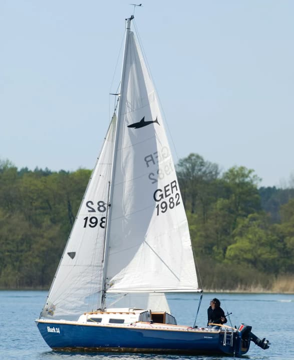 Shark 24