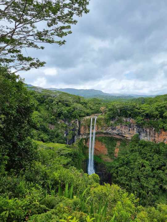 Welcome to the Jurassic Park of reality - the Chamarel waterfalls are absolutely cinematic.