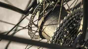 Pioneer for smart e-bikes goes bankrupt