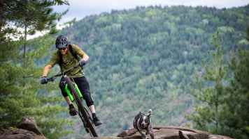 Keinesfalls bei Hitze – Tipps, auf was Biker mit Hunden achten müssen