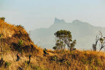 Jenseits der 23 Grad