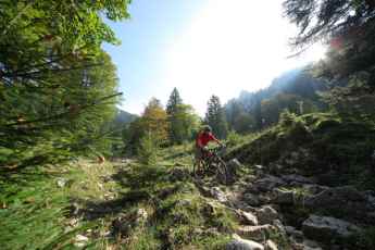 MTB-Trail an der Benediktenwand