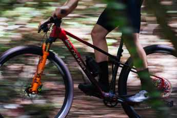 Softtail-Bike als perfekter Kompromiss?