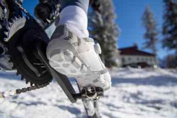 Drei GTX-Modelle für Rennrad, Gravel und Trail