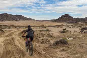 A wild blind date in the desert