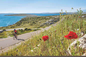 Rennradtouren rund um die Weltkulturerbe-Stadt Zadar