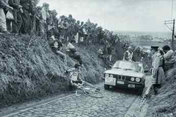Wütender Dachs & das Drama vom Koppenberg