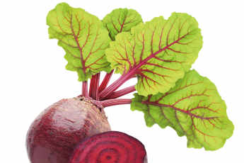 Rote Bete