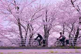 Saisonstart im Kino - Erlebnis für Radfahrer
