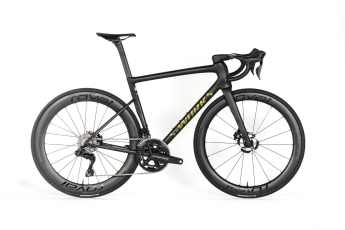 Die besten Renner aus 2025