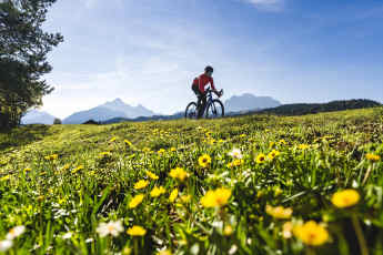 Prüfe Kette und Ritzel des Antriebsstrangs auf Verschleiß