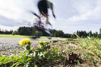 Checkliste für Reifen und Laufräder