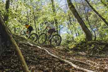 Welche Gravel-Gruppe passt zu Dir?