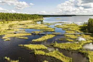 7 Tage Gravel-Abenteuer in Lappland