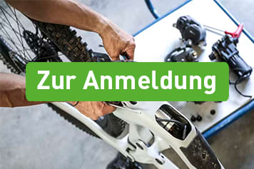 E-Bike Knowhow - Apps, Fahrmodi und Trouble-Shooting