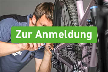 Schaltung perfekt einstellen – Von klassisch bis elektronisch