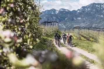 3 Trailtouren fürs Frühjahr