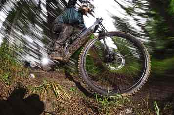 Schwalbe Magic Mary & Albert Radial