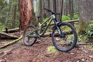 Canyon Torque Mullet CF 8