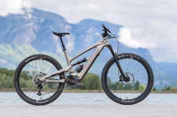 YT Industries Decoy 29 Core 2 im EMTB-Lesertest