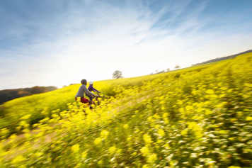 8 schnelle Modelle im Highspeed-Test