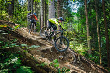 Rocky Mtn. Altitude vs. Trek Slash