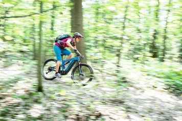 Cannondale Cujo Neo im Check