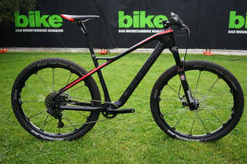 Vorhang auf für Freed