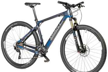 Giant XTC Advanced 29er 1 im BIKE-Test