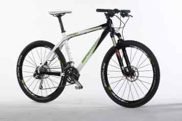 Bergamont Platoon 8.9