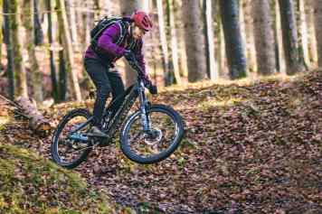 Storck e:drenic.2 GTS 630