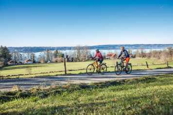 Fahrrad-Allrounder bis 1200 Euro im Test