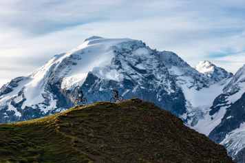 Das Trail-Revier zwischen Ortler und Ofenpass