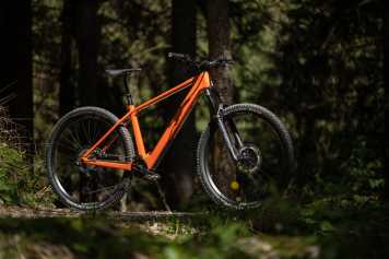 Der Motor macht dieses Bike günstiger