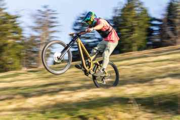 Das Rose Scrub DC 3 begeistert durch Preis-Leistungs-Verhältnis