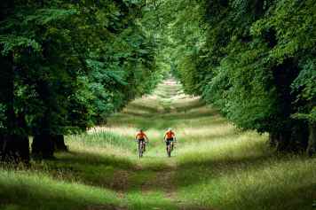 Mountainbike-Touren rund um Bad Salzdetfurth