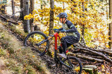 Neues Light-E-Bike für alle Lebenslagen