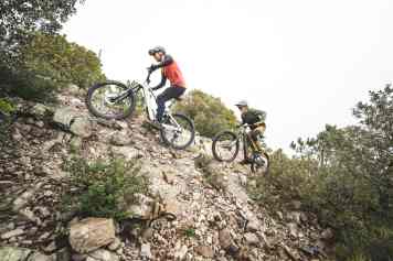 Rose Slab Plus vs. Cube AMS Hybrid 177