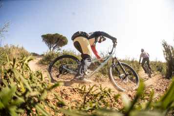 Wer baut den besten Allrounder?