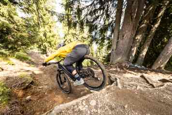 Mullet oder Full 29?