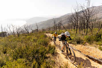 Ist das die neue Premium-MTB-Klasse?