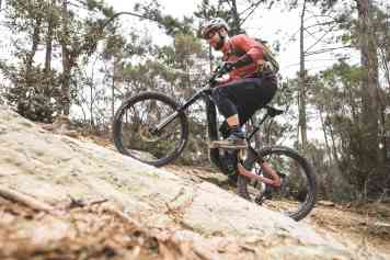 Der ideale Bosch-Allrounder?
