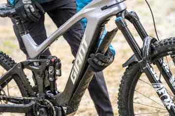 Graue Maus oder goldene Mitte?