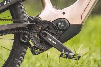 Pinion MGU im Test - sorglos radreisen?