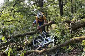 Rose Backroad FF - “Dirty Lemon”