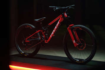 Teuer & rar: Das Pivot Phoenix XX DH Special Edition