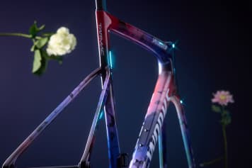 S-Works Tarmac SL8 in floralem Design